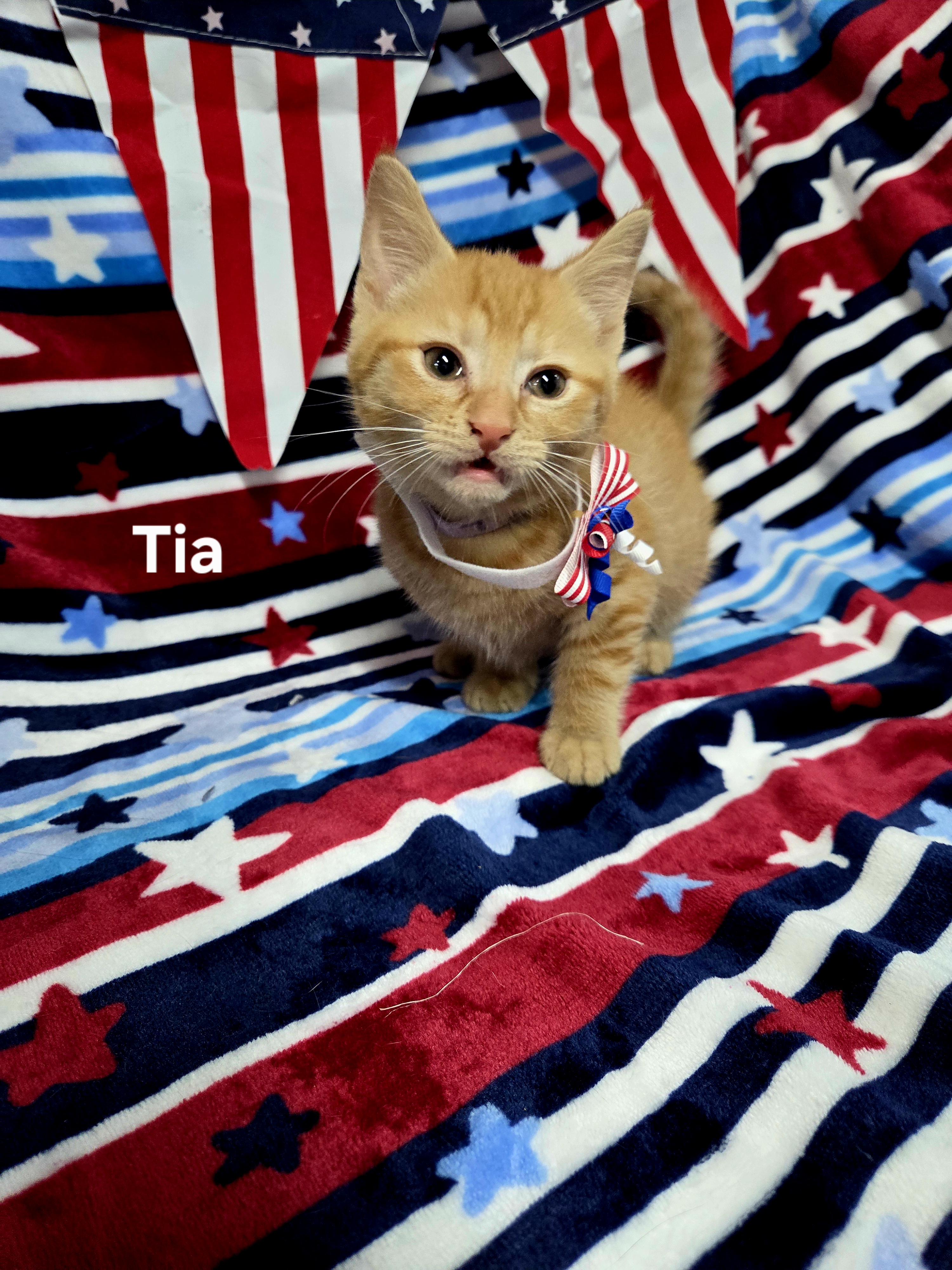 Tia